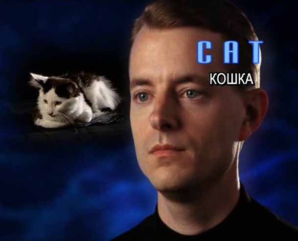 Саентология и Дианетика: человек думаент о кошке